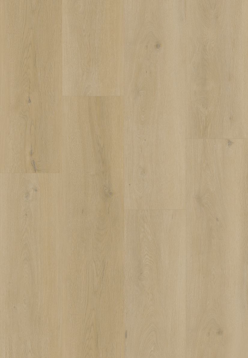 Amber Oak surface swatch from the Dream Floor 2026 SPC catalog
