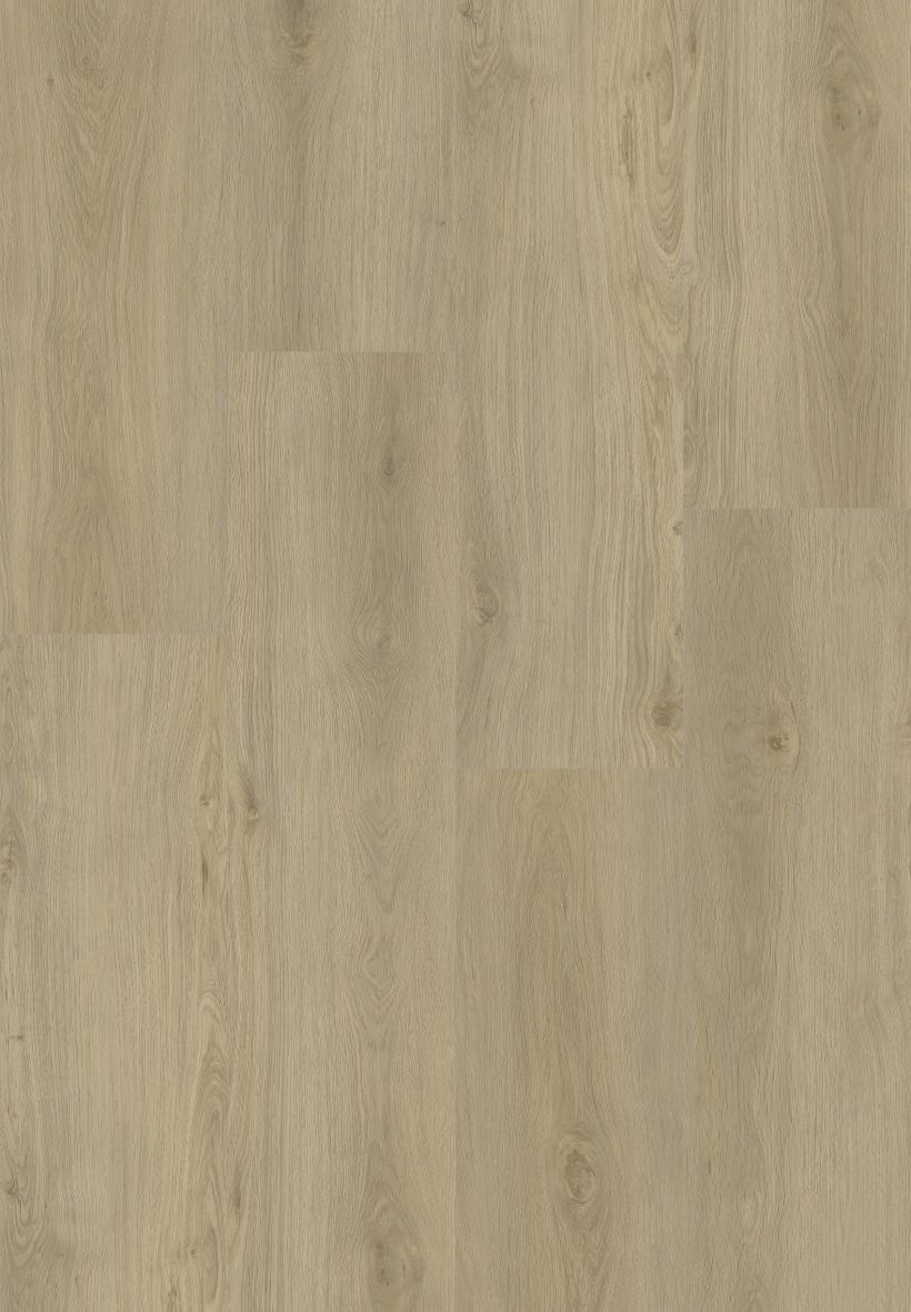 Antique Oak surface swatch from the Dream Floor 2026 SPC catalog