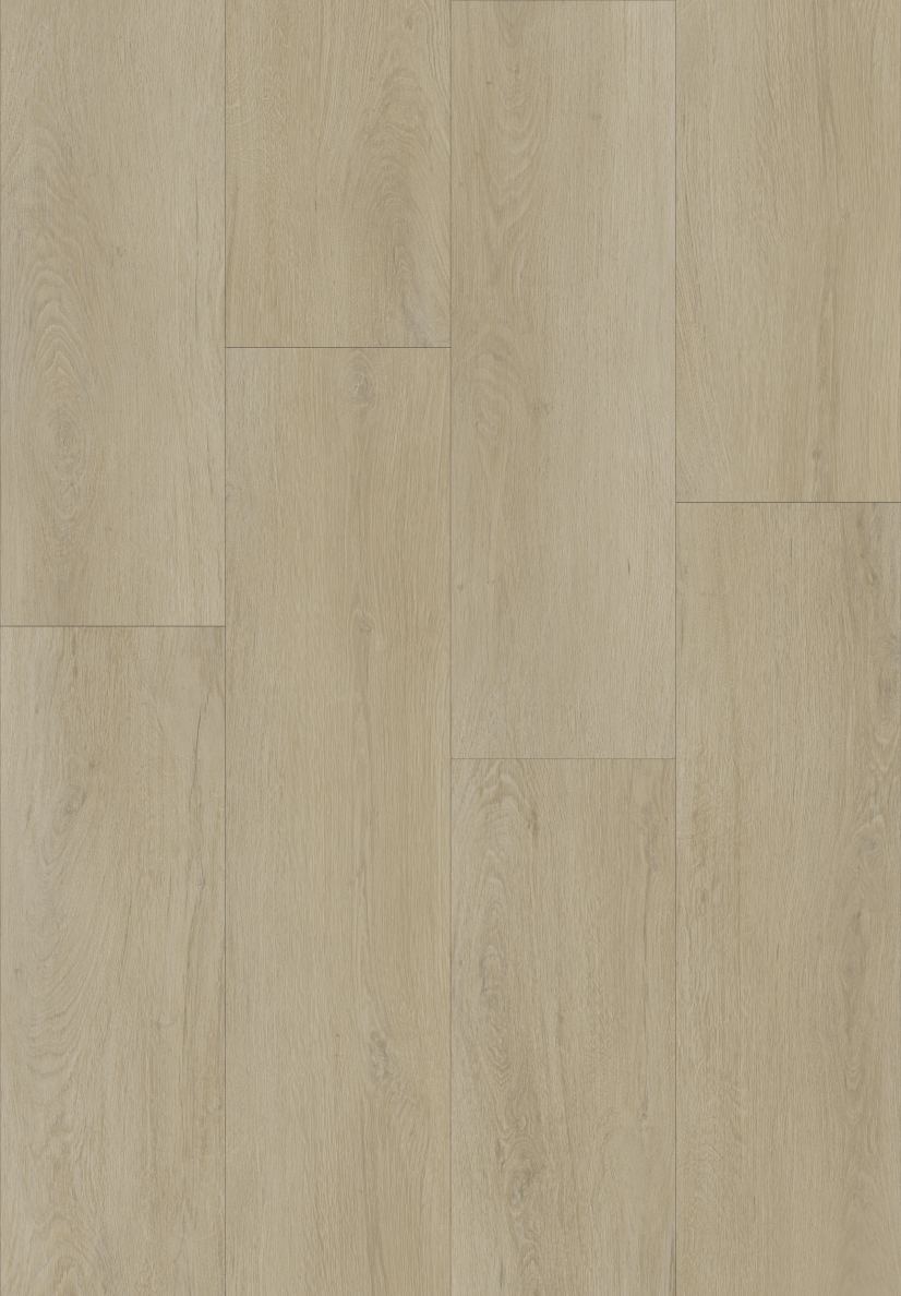 Driftwood Oak surface swatch from the Dream Floor 2026 SPC catalog