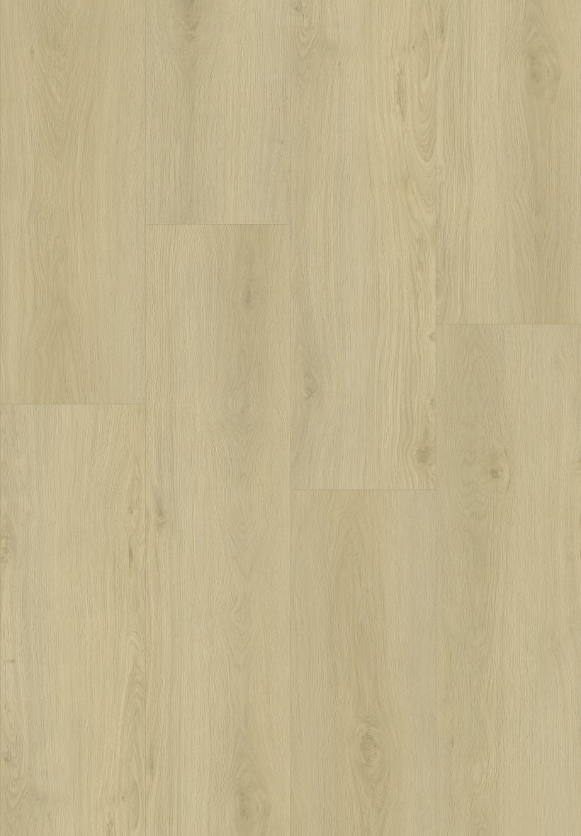 Golden Oak surface swatch from the Dream Floor 2026 SPC catalog