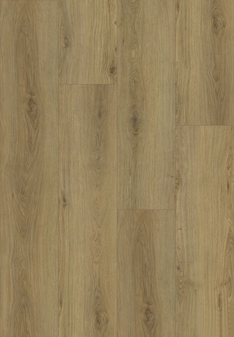 Sable Oak surface swatch from the Dream Floor 2026 SPC catalog